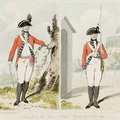 Second (Queens Royal) Regiment of Foot