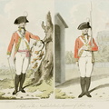 Fifth (Northumberland) Regiment of Foot