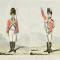 Seventh (Royal Fuzileers) Regiment of Foot