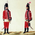 Husaren-Regiment Nr. 8 (Graf von der Goltz)