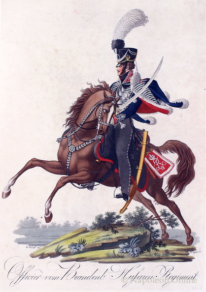 Brandenburgisches Husaren-Regiment (Offizier)