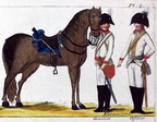 Kürassier-Regiment Nr. 9 Holzendorf - Kürassier und Offizier