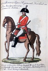 Chevauxlegers-Regiment Dehn-Rothfelser (vormals Curland) - Chevauleger